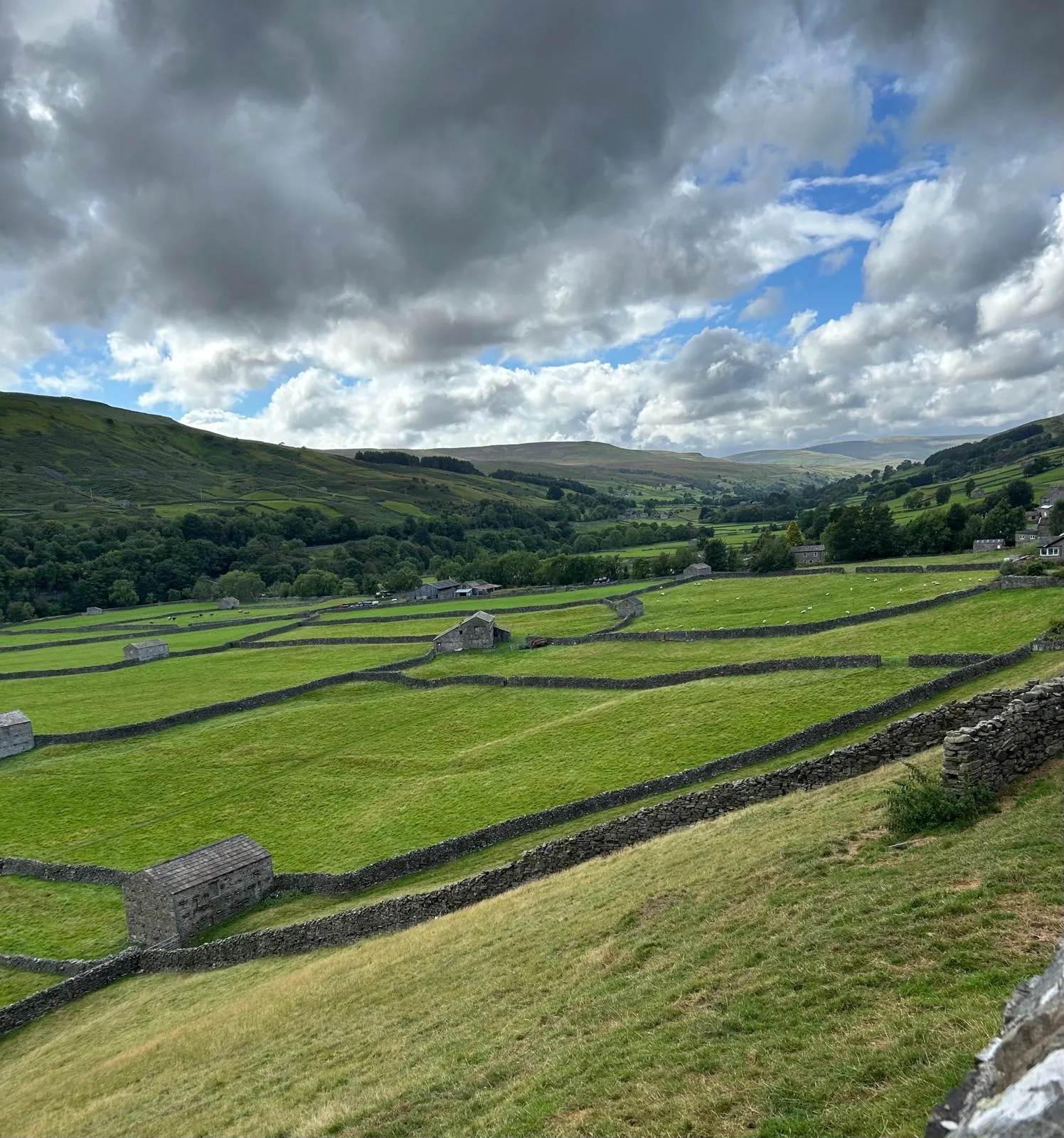 A view over Wensleydale in the Yorkshire Dales